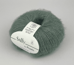 882212 Salvia, Sally