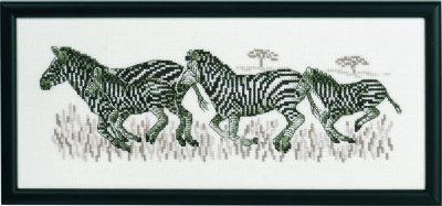 Zoom bild av Broderi_Korsstygn_Zebror