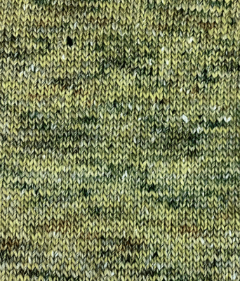 Zoom bild av 880519 Senap, Kamelia