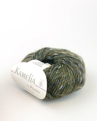 Zoom bild av 880533 Skogsgrön, Kamelia