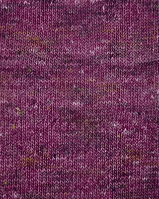 Zoom bild av 889524 Syren, Kamma Permin