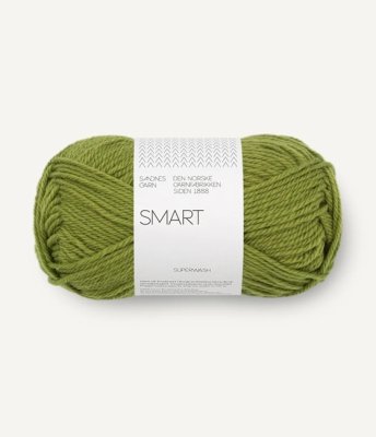 Zoom bild av 9564 Matcha, Smart